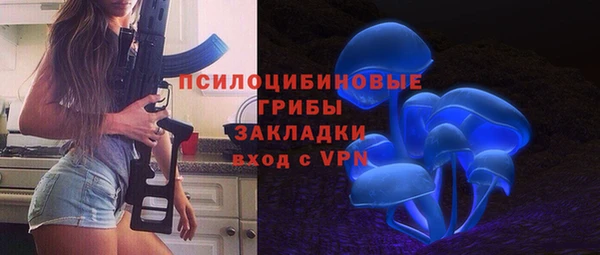 PSILOCYBIN Абдулино
