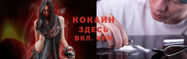 PSILOCYBIN Абдулино