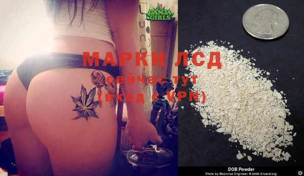PSILOCYBIN Абдулино