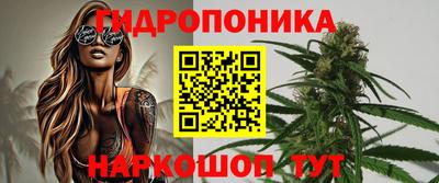 сатива Коммунар