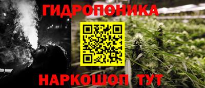 сатива Коммунар