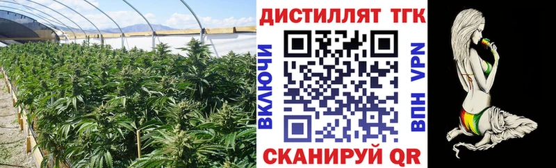ссылка на мегу ссылки  купить закладку  Электросталь  Дистиллят ТГК гашишное масло 