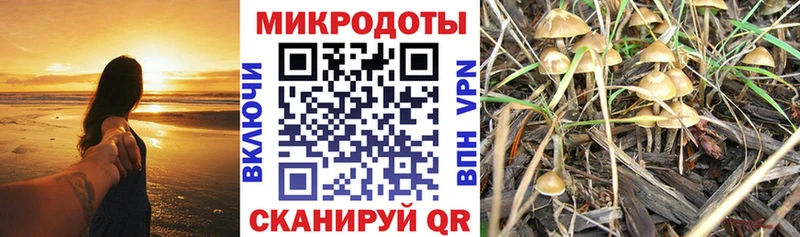 закладка  Электросталь  Псилоцибиновые грибы ЛСД 