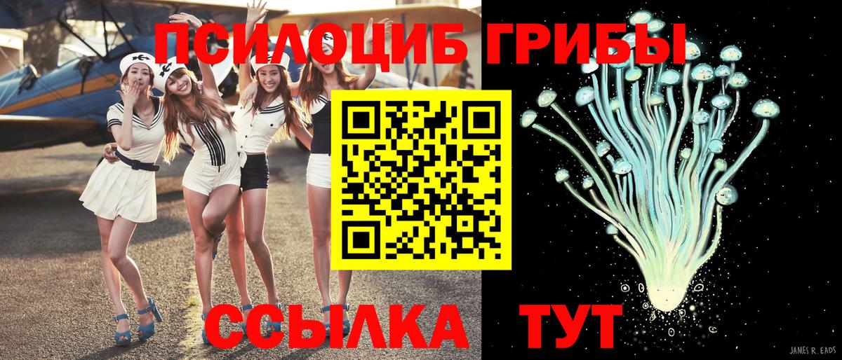 Электросталь  Галлюциногенные грибы мухоморы  Вход с VPN 