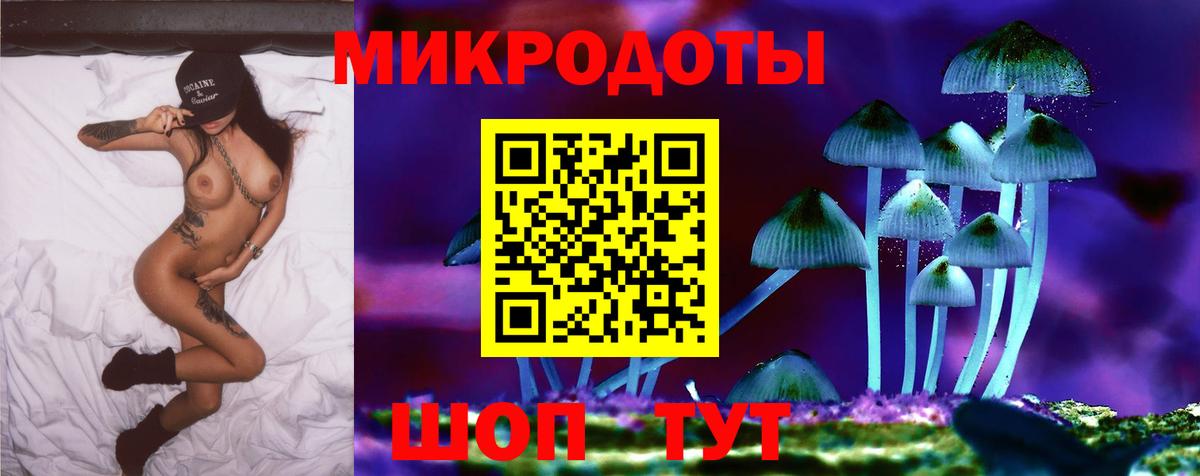 Галлюциногенные грибы Psilocybine cubensis Электросталь